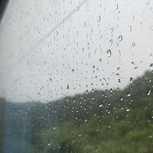 俩黑屌插进逼里面
