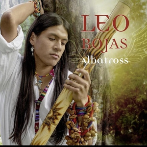 俩黑屌插进逼里面
